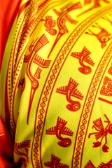 Áo thun lân sư rồng 04-A25