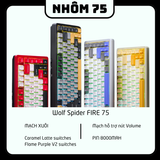  Bàn Phím Aula S.Wolf FIRE 75 