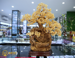 Cây Tài Lộc Phong Thủy Luân Thạch Anh Vàng