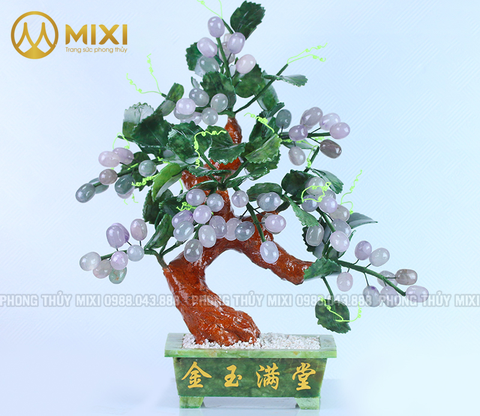 Cây Nho Flourite Tím