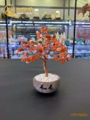 Cây Tài Lộc Mã Não Đỏ Mini