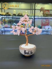 Cây Tài Lộc Thạch Anh Hồng Mini