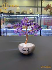 Cây Tài Lộc Thạch Anh Tím Mini