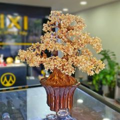 Cây Tài Lộc Thạch Anh Vàng Đế Tròn Sọc