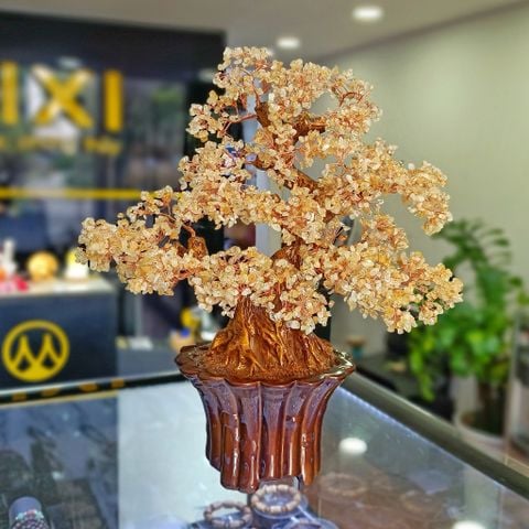 Cây Tài Lộc Thạch Anh Vàng Đế Tròn Sọc