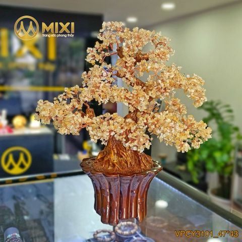 Cây Tài Lộc Thạch Anh Vàng Đế Tròn Sọc