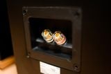  Loa cột floorstander Tangent Audio Spectrum X6 