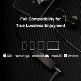  DAC / Headphone Amp Questyle M12i 
