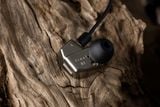  Tai nghe In Ear có dây Final Audio B2 