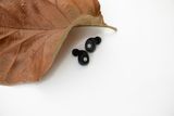  Tai nghe In Ear không dây bluetooth true wireless Grado GT220 