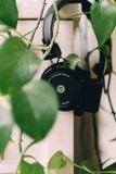  Tai nghe chụp tai không dây bluetooth Grado GW100X 