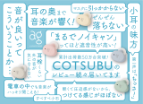  AG Final Audio Cotsubu MK2+ 