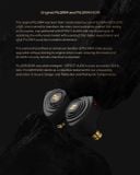  Tai nghe In Ear có dây EFFECT AUDIO và Elysian Acoustic PILGRIM:NOIR 