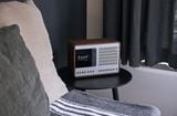  Loa Wireless Music System với Internet Radio, Spotify Connect, Wi-Fi, FM, Bluetooth Revo SuperConnect 