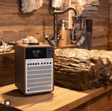  Loa Bluetooth, đồng hồ báo thức, DAP+/FM Revo SuperSignal 