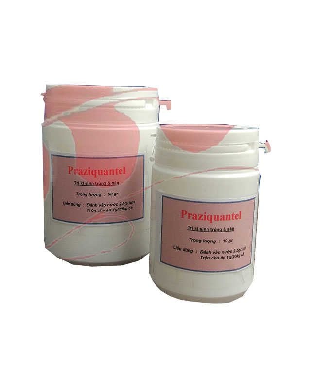  Praziquantel - Thuốc trị kí sinh trùng 