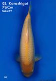  Karashigoi 03 