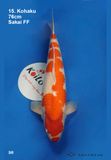  Kohaku 15 