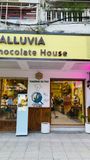  ALLUVIA CHOCOLATE 