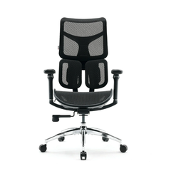Ghế công thái học ergonomic Sihoo Doro S100 (Bản chân nhôm cao cấp)