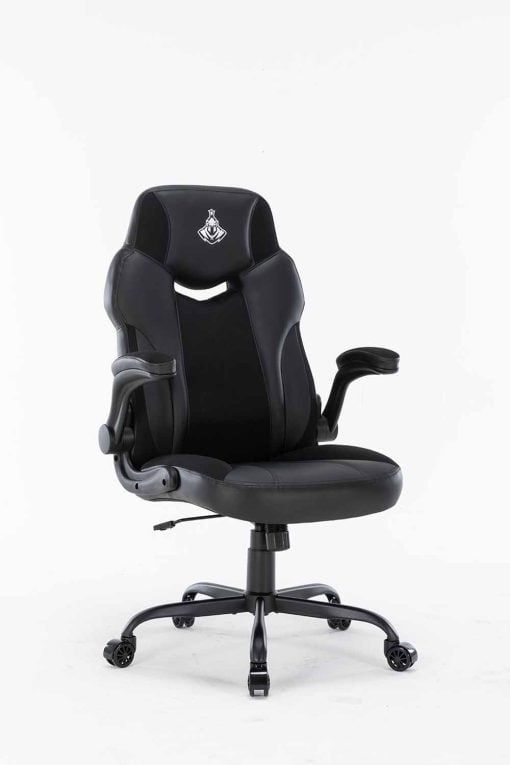 Ghế chơi game Warrior – Raider Series – WGC203 Black