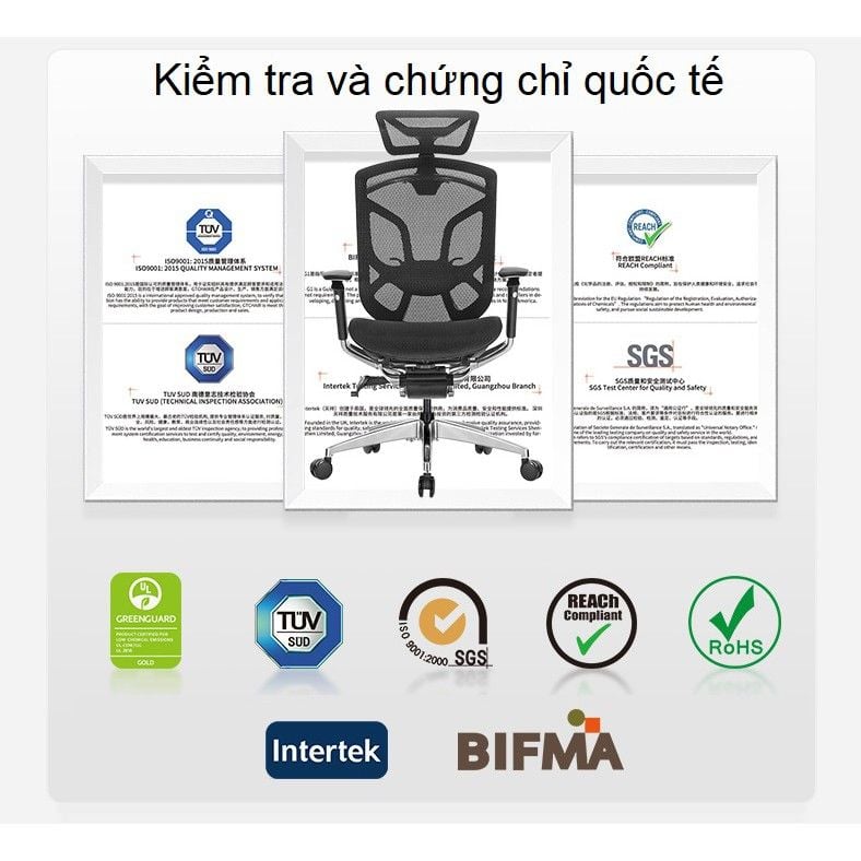 Ghế công thái học ergonomic Dvary Butterfly