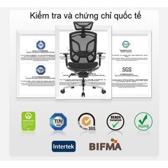 Ghế công thái học ergonomic Dvary Butterfly