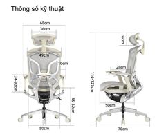 Ghế công thái học ergonomic Dvary Butterfly