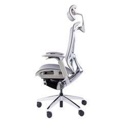 Ghế công thái học ergonomic Dvary Butterfly