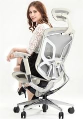 Ghế công thái học ergonomic Dvary Butterfly