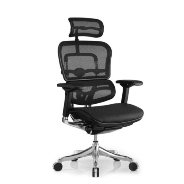 Ghế công thái học ergonomic Ergohuman bản Classic