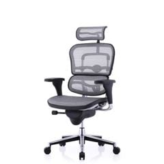 Ghế công thái học ergonomic Ergohuman bản Classic