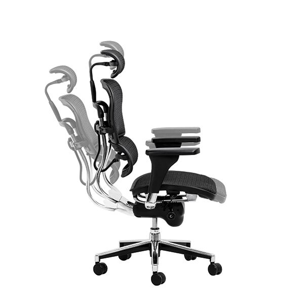 Ghế công thái học ergonomic Ergohuman bản Classic