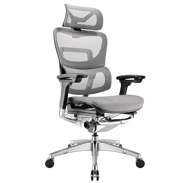 Ghế công thái học ergonomic Fly Pro