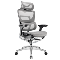 Ghế công thái học ergonomic Fly Pro