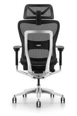 Ghế công thái học ergonomic Fly Pro