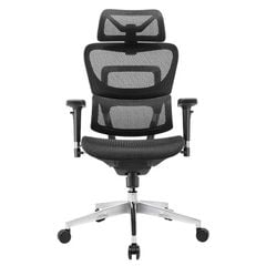 Ghế công thái học ergonomic Fly