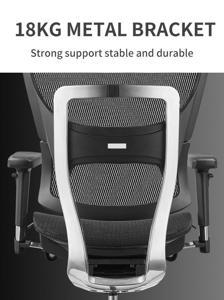 Ghế công thái học ergonomic Fly