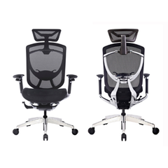 Ghế công thái học ergonomic IFIT Smile
