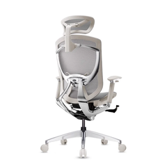 Ghế công thái học ergonomic IFIT Smile