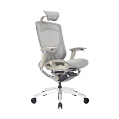 Ghế công thái học ergonomic IFIT Smile
