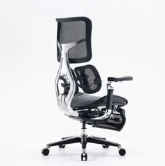 Ghế công thái học ergonomic Sihoo AU (Sihoo Doro S300)