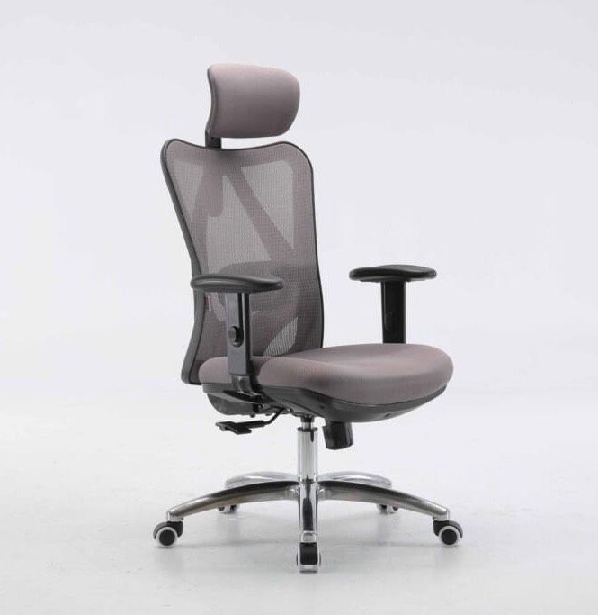 Ghế công thái học ergonomic Sihoo M18