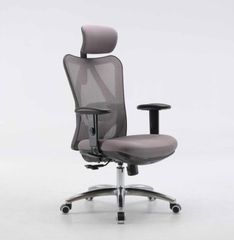 Ghế công thái học ergonomic Sihoo M18