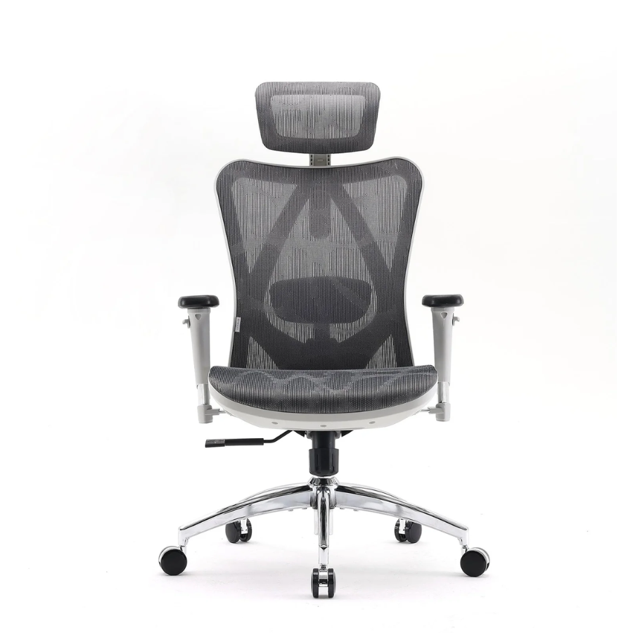 Ghế công thái học ergonomic Sihoo M57