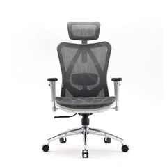 Ghế công thái học ergonomic Sihoo M57 / M57B
