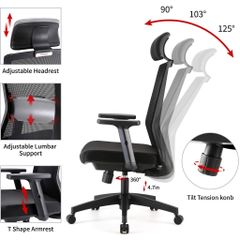 Ghế công thái học ergonomic Sihoo M86 chính hãng