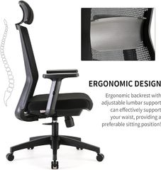 Ghế công thái học ergonomic Sihoo M86 chính hãng