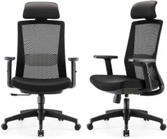 Ghế công thái học ergonomic Sihoo M86 chính hãng