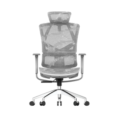 Ghế công thái học ergonomic Sihoo M90